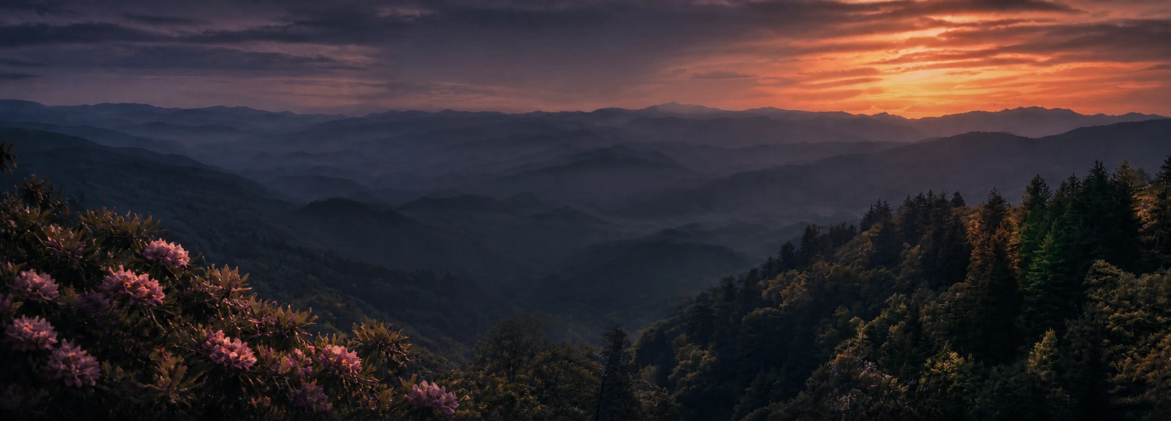 Blue Ridge mountain ridges and rhododendron at a copper-toned sunset